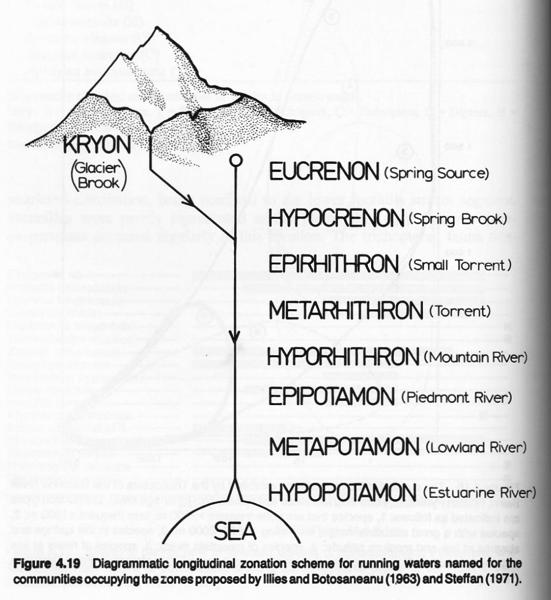 Zonation schemes 3) Combination of Physical and Biotic Illies (1961) and Illies & Botsaneanu (1963), a worldwide classification system Kryon = glacier brook (1-5 C) Crenon = spring * = stream (annual