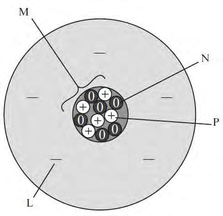Item 9 A scientist is measuring the mass of two boron (B) atoms. One atom has a mass of 10 units. The other atom has a mass of 11 units. This is a model of a boron atom with a mass of 11 units.