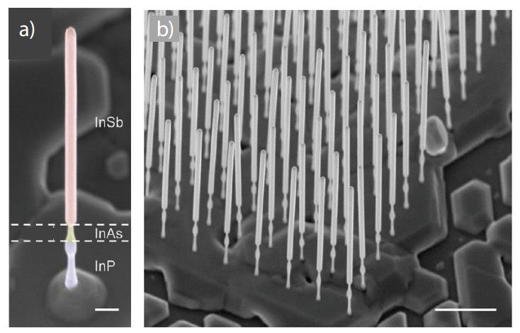 Figure 3.1: InSb nanowires on mother chips. a, Scanning electron micrograph (SEM) of an InSb nanowire consisting of several sections: InP stem, InAs stem, InSb nanowire and gold particle.