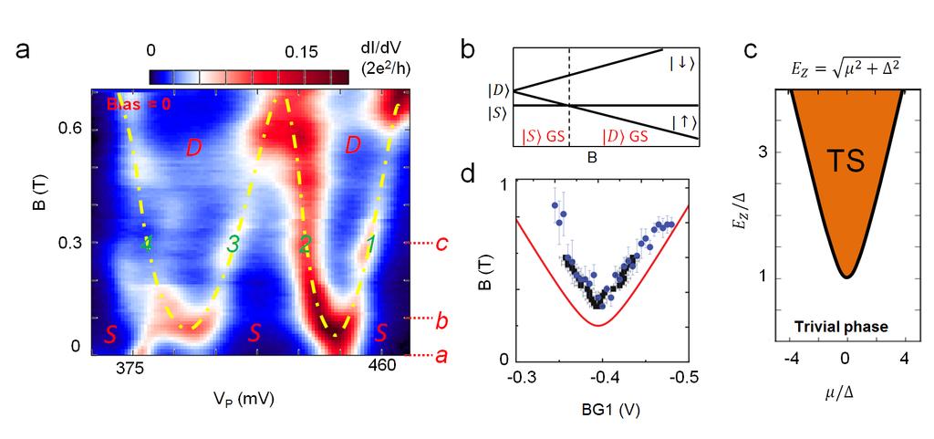 Figure 4.8: Magnetic field evolution of the resonances in open quantum dot regime. a, The differential conductance as a function of V p and magnetic field (B) at zero bias.