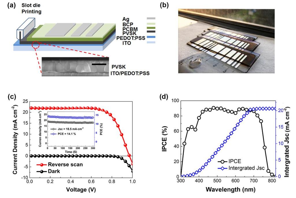 Supplementary Figure 16 Photovoltaic characterization of printing perovskite solar cells (PSCs).