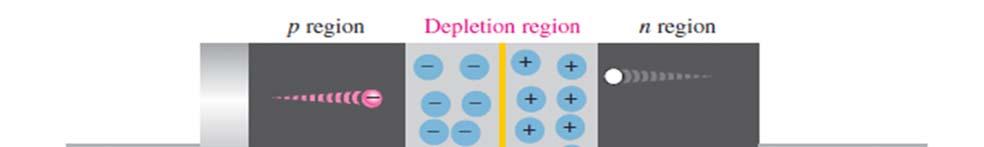 As the depletion region widens, the availability of majority carriers decreases.