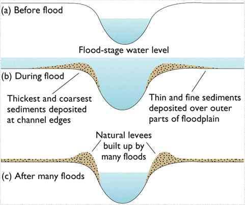Flooding &