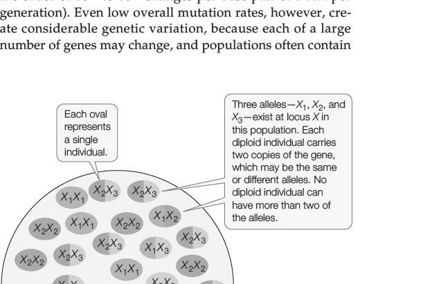 Evolution occurs as traits accumulate in a population.