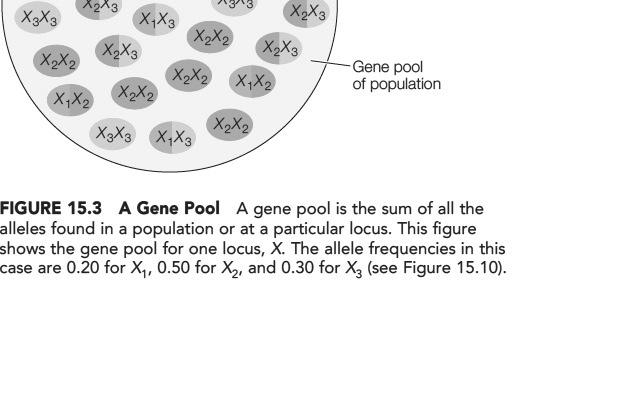 A Gene Pool, Hillis, Savada, Heller and Price. Principles of Life, 2012.
