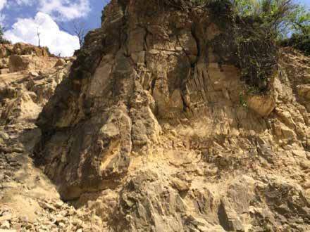 landslide debris and rocks; and (b)