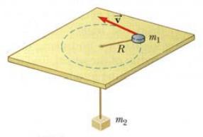 P) A coin of 1.0 kg has been set revolving friction-less on a granite table in a circle of radius 2.0 meters at a constant velocity around a hole in the table in the middle of the circle.
