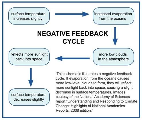 Negative Feedback Negative feedback occurs when the output of a system acts to dampen