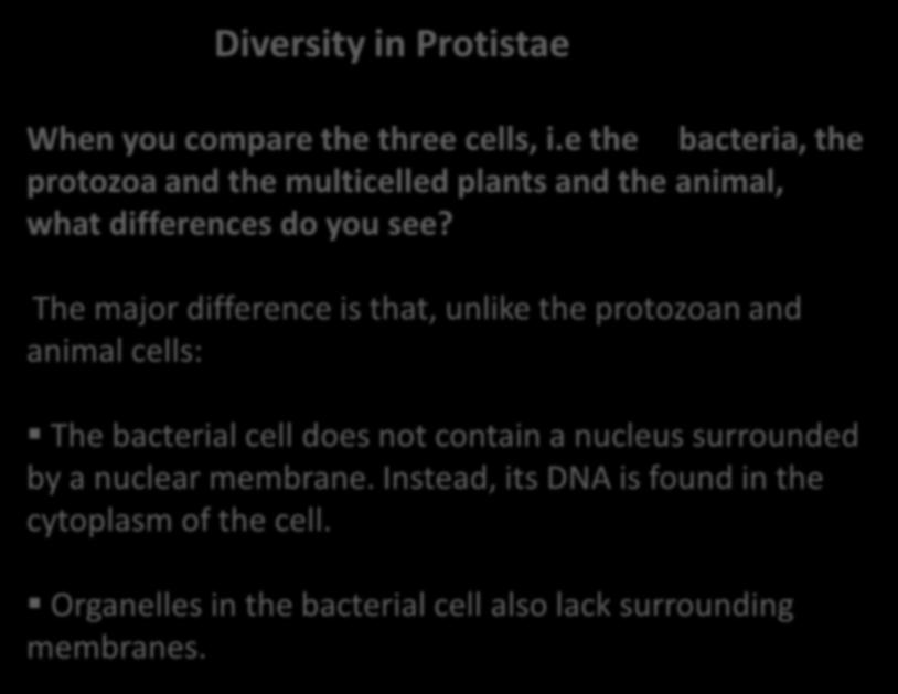 Diversity in Protistae When you compare the three cells, i.e the bacteria, the protozoa and the multicelled plants and the animal, what differences do you see?