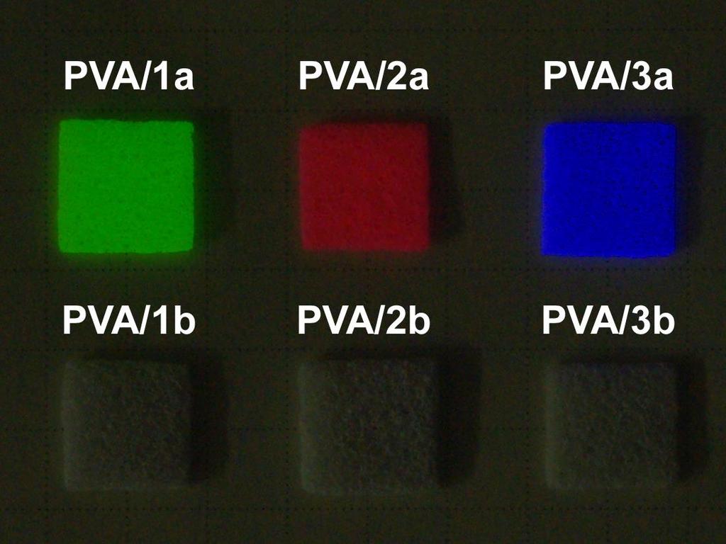 Fig. S1 Photograph of PVA sponges after the treatment with 1a (PVA/1a), 2a (PVA/2a), 3a