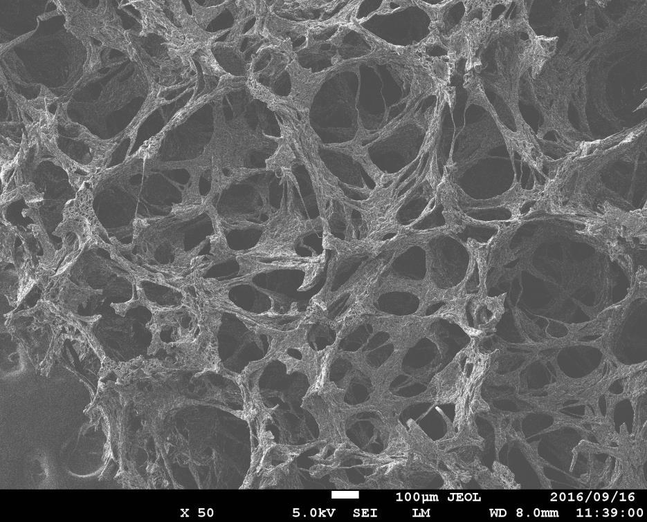 Fig. S13 FE-SEM image of PVA/3a. 1x1 3 Photon count (54 nm) 1x1 2 1x1 1 1x1 2 4 6 8 Time / ns Residuals 4 2-2 -4 2 4 6 8 Time / ns Fig. S14 Fluorescence decay profile (black) of PVA/1a ( em = 54 nm).