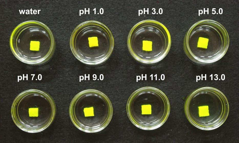 Fig. S27 Photograph of PVA/1a immersed in distilled water and aqueous