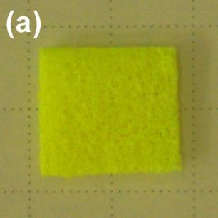 Fig. 49 Digital photographs of a PVA sponge co-functionalized with 1a and boronic acid-appended L-lysine (5)