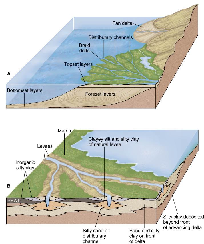 drainage basin: the total area that contributes