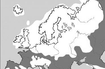 Last Glaciation Maximum in Europe There have been