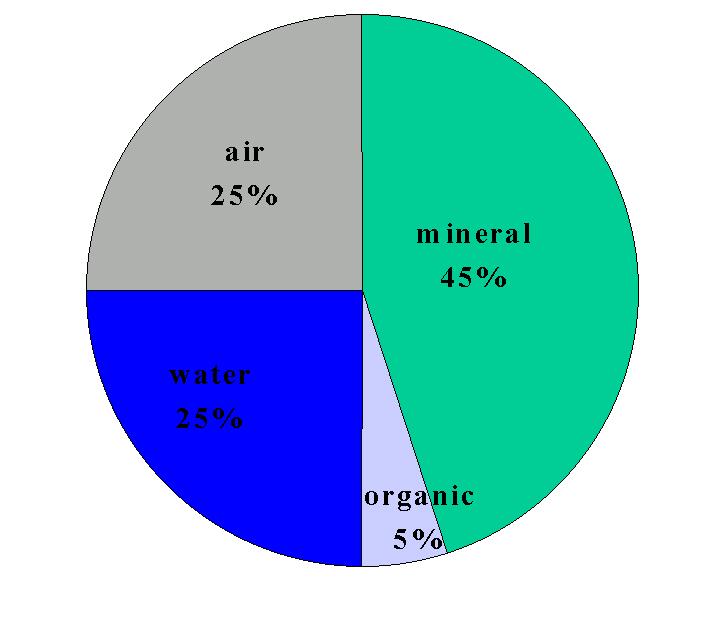 Major Components of Soil Pore Space (50%) This may contain