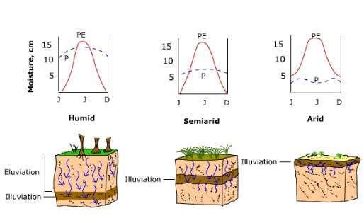 Climate and Soil Development Image