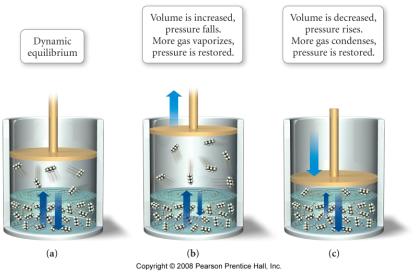 Vapor-Liquid Dynamic Equilibrium If the volume of the chamber is increased, that will decrease the pressure of the vapor inside Eventually enough liquid evaporates so that the rates of the