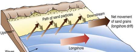 profile Wave-worked sediments Wave-cut bench Recreational beach Berm face Longshore bars Longshore trough Composition of