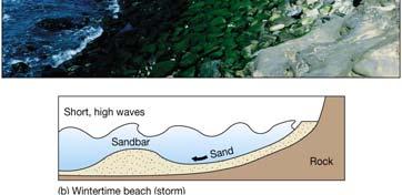 Longshore current Wave refraction causes water and sand to move parallel to shore Zigzag motion