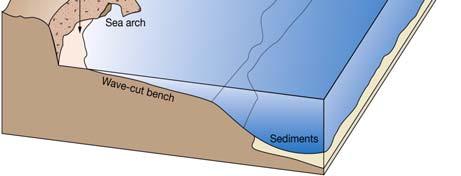Erosional shorelines Well-developed cliffs Recent tectonic activity Headlands Wave-cut cliff