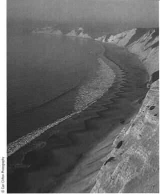 etc. Coastal processes act to shape the coastline, these include: Tectonics,