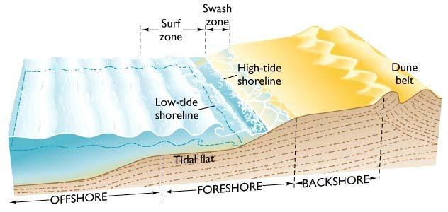Major Parts of a Beach Surf zone offshore belt along which breaking waves collapse as they approach the shore Swash zone -