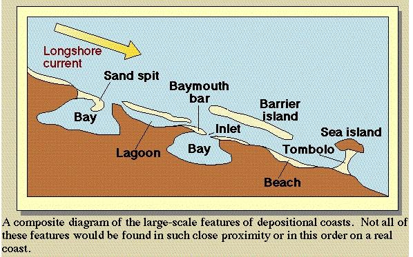 Many coastal depositional features are