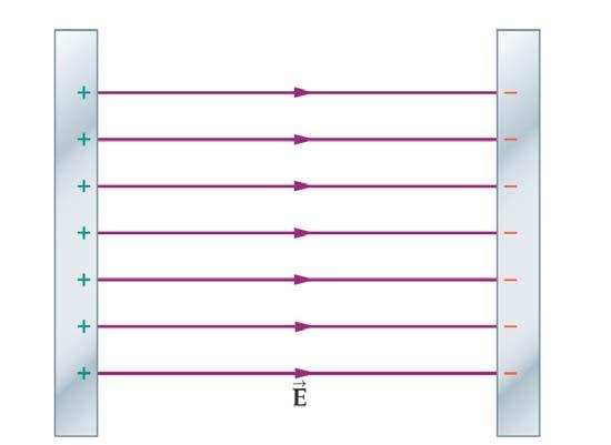 For the parallel plate capacitor shown below make a graph (Y vs X) of: a) The electric field as a function