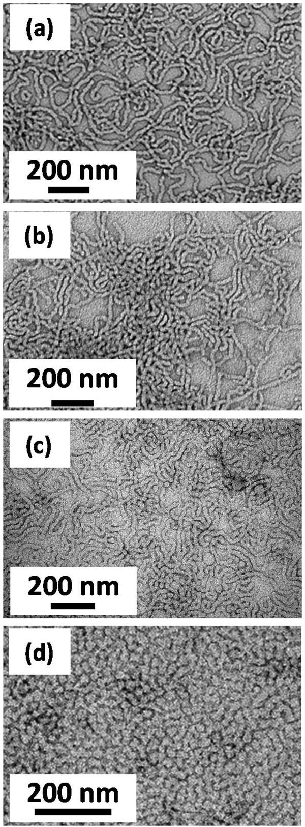 Fig. 7 Representative TEM images recorded for: (a) PGMA 62 -PHPMA 140 worms (control); (b) P(GMA 65 -stat-glyma 1.7 )-PHPMA 140 worms prior to cystamine derivatization; (c) P(GMA 65 -GlyMA 1.