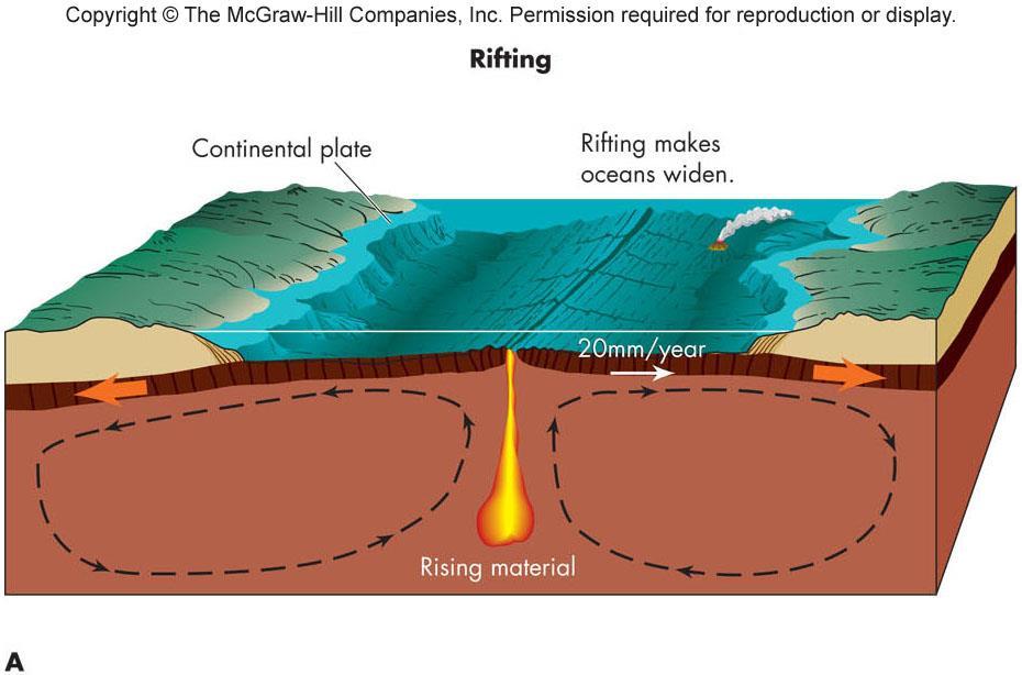 Plate Tectonics Rifting Hot, molten material rises from deep in the Earth s interior in great, slow plumes that work their way to the surface Near the