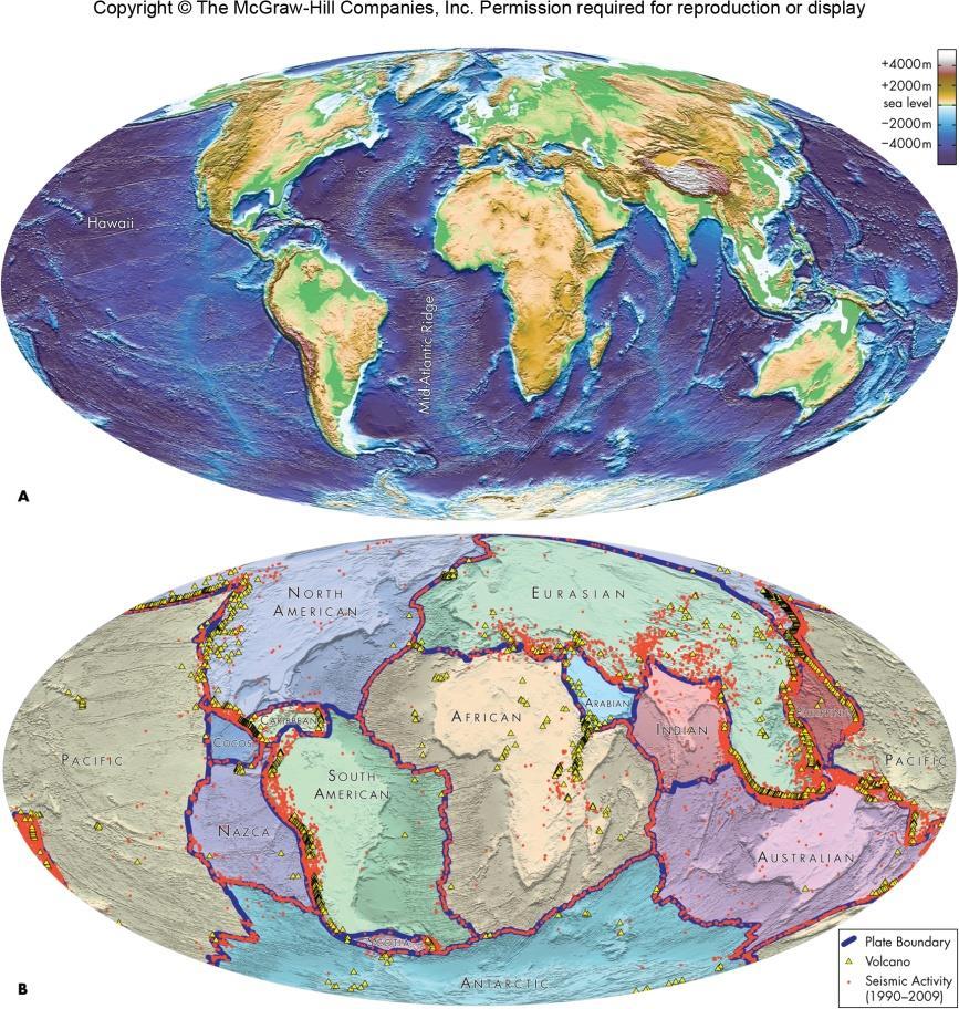 Plate Tectonics Rifting and subduction are the dominant forces that