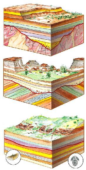 Layered sedimentary rocks Nonconformity Metamorphic rock (a) 8_9 Igneous intrusive rock Younger sedimentary rocks Angular