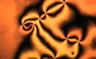 detergent - Hydrophobic heads stick to the glass - Long molecules
