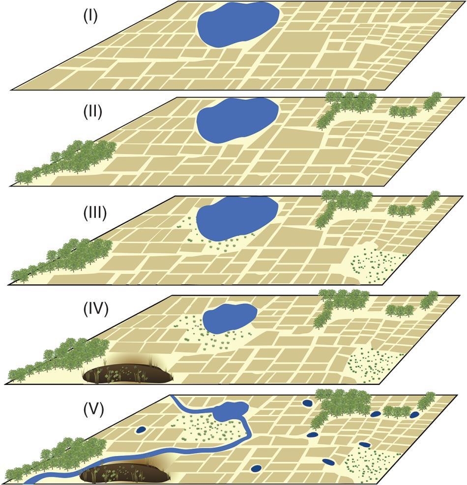 http://onlinelibrary.wiley.com/doi/10.1002/wat2.1147/full Landscape Heterogeneity S-I: homogeneous landscape using only cropland for the terrestrial domain and large lakes for the aquatic domain.