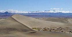 Terrestrial deposits Two types Desert deposits: Sediments accumulated by (Wind blown sediments, Wash from upland