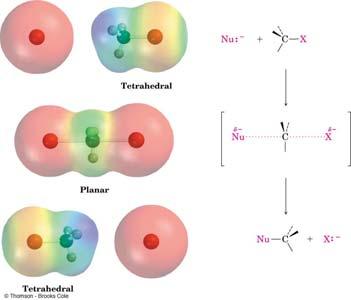 The transition state of an S N 2 reaction has a planar