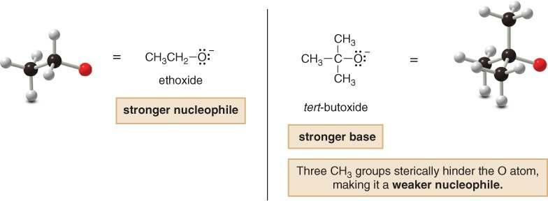 The Nucleophile: Nucleophilicity does not parallel basicity when steric hindrance becomes important.