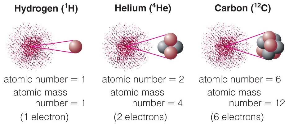 Atomic Terminology Atomic number = # of protons in nucleus Atomic mass number