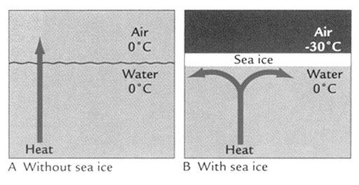 Sea ice is a good insulator and allows air temperature to be very different from that of the