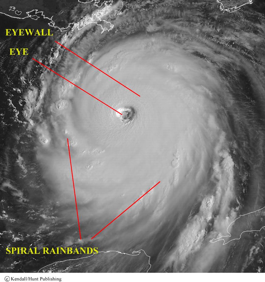 Hurricane structure Eye a nearly cloud free area at the center of a hurricane Eyewall a ring of deep