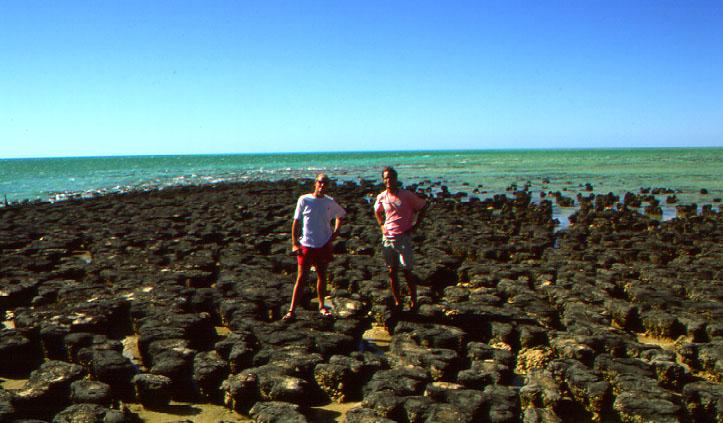 Stromatolites Layered