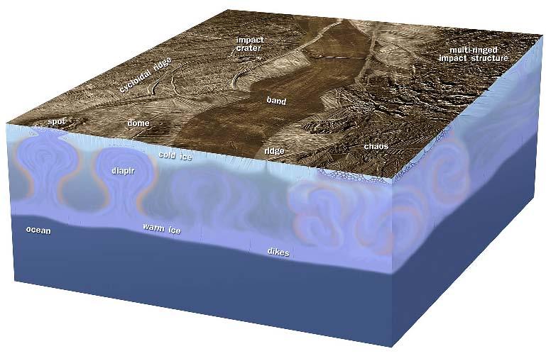 Jupiter s moon Europa The floating ice shell is heated by flexing and squeezing of Europa s tides.
