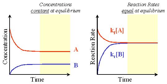 Reverse reaction rate = k r [B] Consider how this reaction would look at the molecular level if we started with pure A: At the beginning there is no B, therefore, the reverse reaction rate is 0