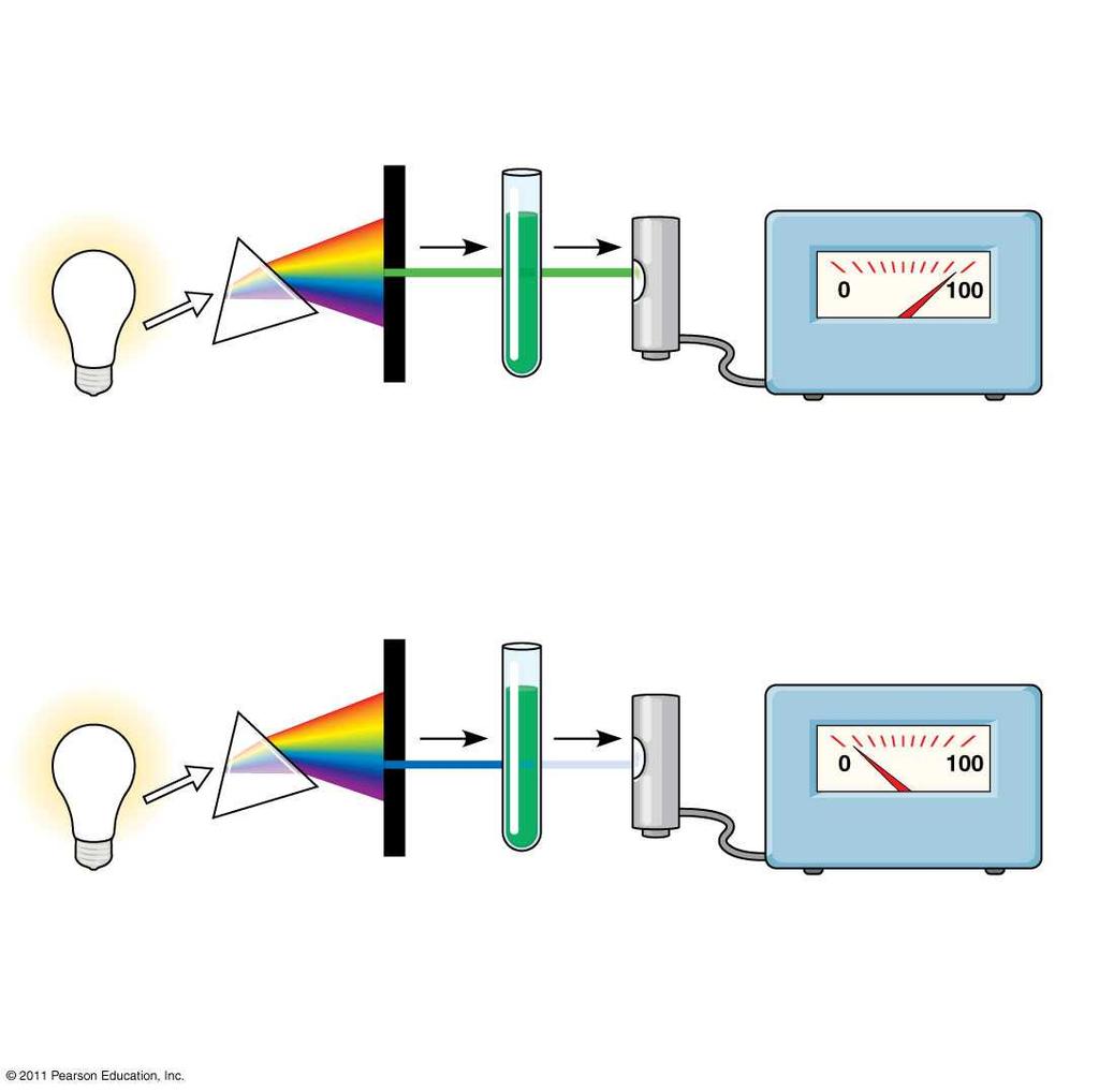 Figure 10.9 TECHNIQUE Refracting Chlorophyll Photoelectric solution tube White prism Galvanometer light Slit moves to pass light of selected wavelength.