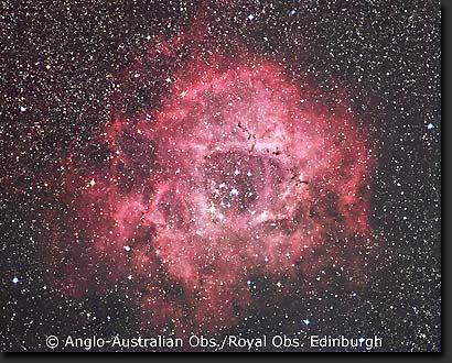 The Rosette nebula M57 The Ring Nebula A young HII region