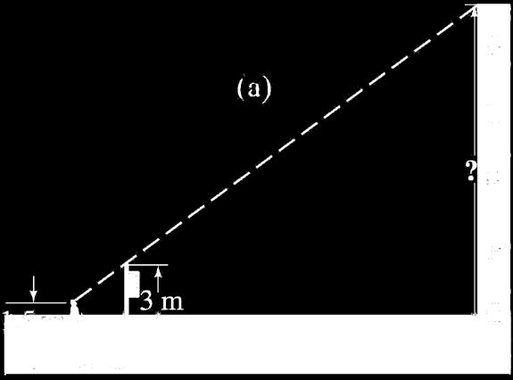 1-6 Order of Magnitude: Rapid Estimating Example 1-7: Height by triangulation.