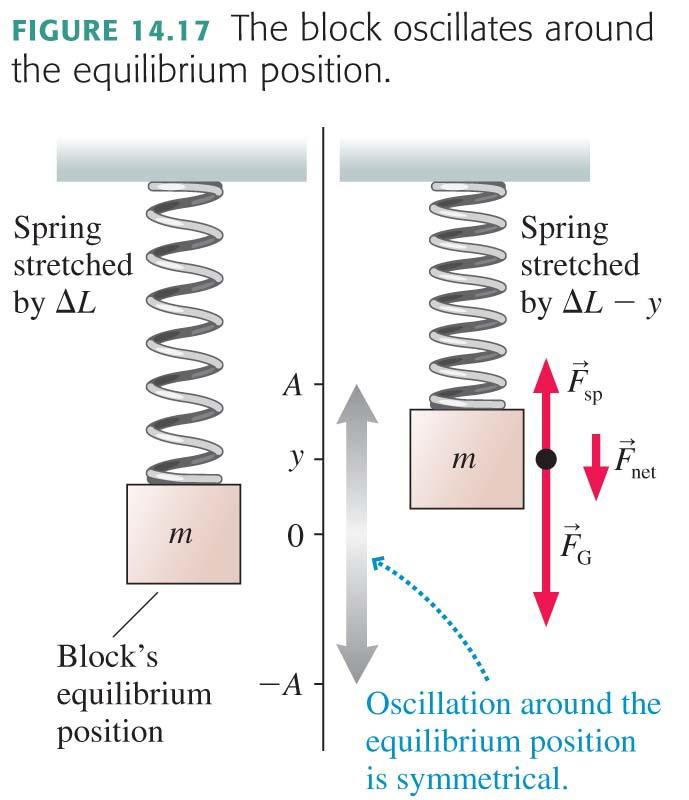 How does the period depend on amplitude of the oscillation? where the angular frequency is determined by the mass and the spring constant.