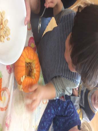 Danilo (age 3 1/2) scooping the seeds out of the pumpkin. Danilo says, Look, it's slippery.
