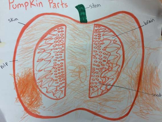 It was all about different kinds of pumpkins and it showed us how a pumpkin grows. It was a book about counting.